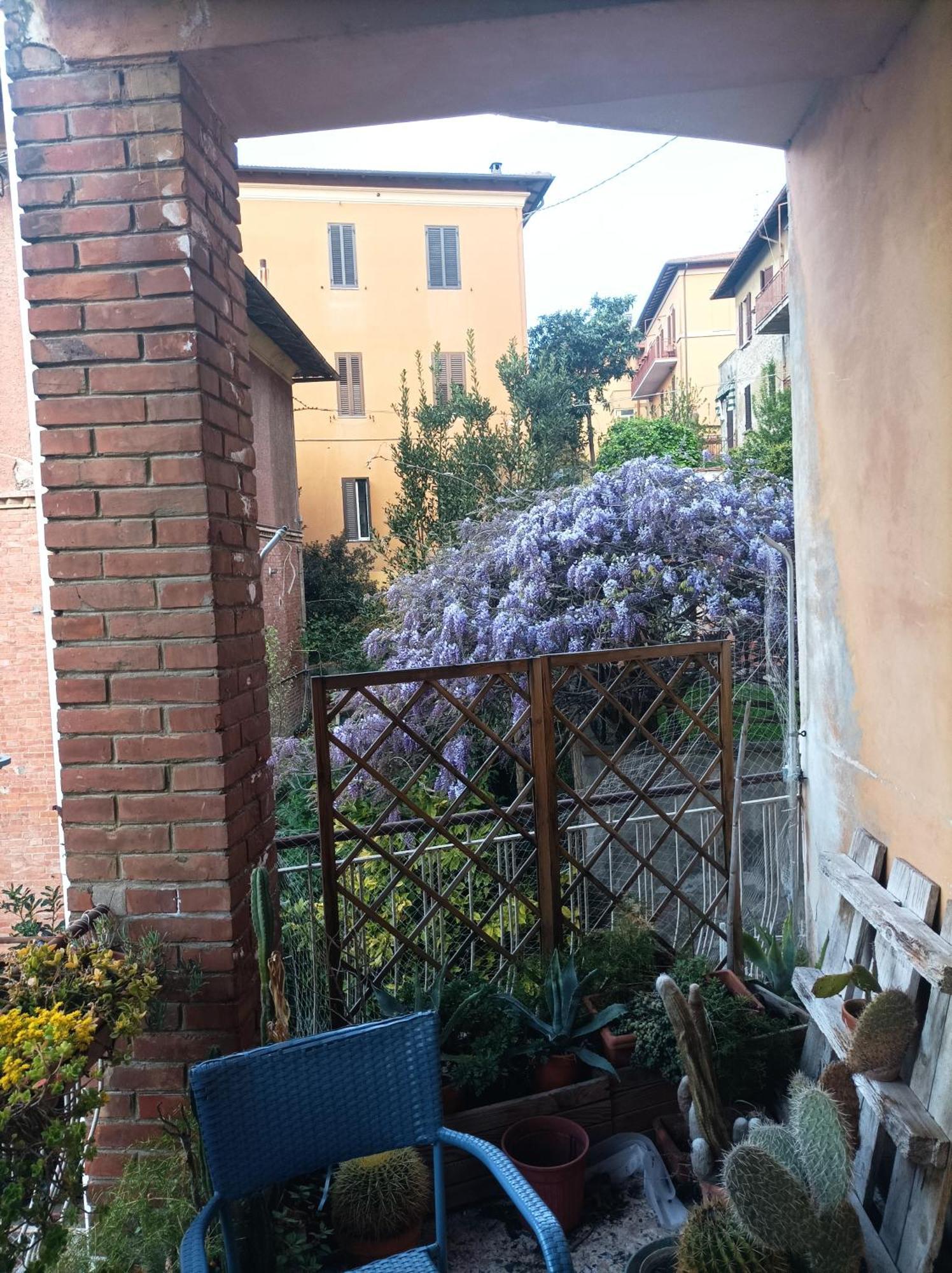 Boh & Boh A Casa Di Luca And His Cats Perugia Exterior foto